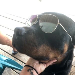 Meet your Posher, Lisa